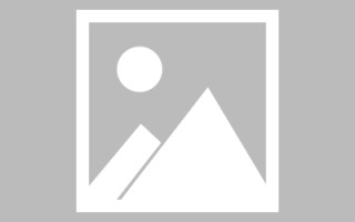 庄河搭建在线bt网站（搭建bt下载服务器）